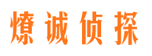 塔河捉小三公司